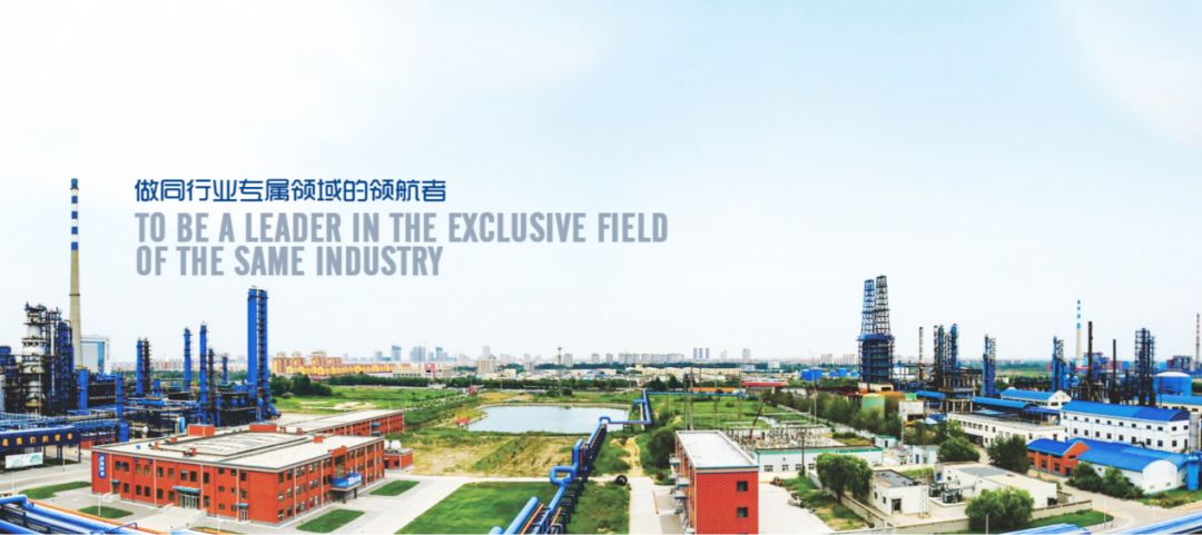 ��(sh��)��(j��)��ȫح������_(d��)ʯ���������޹�˾�ɹ����s��(sh��)��(j��)��ȫ�(xi��ng)Ŀ